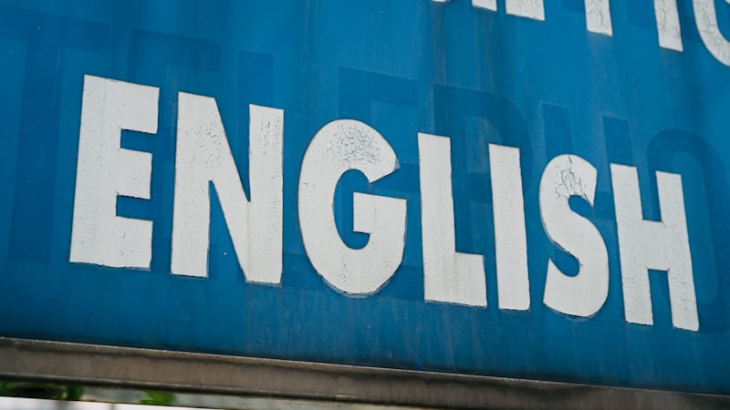 社会人向け英語サークルの選び方ガイド｜初心者でも続けやすい交流の始め方