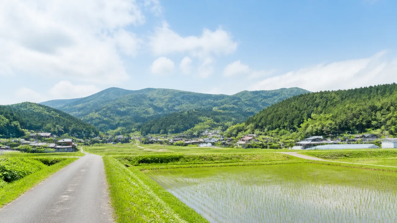 片田舎と田舎の違いとは?意味や使い分けを例文で解説
